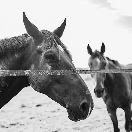 別荘 Le Levant De Cremens Magnan