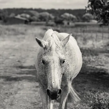 Le Levant De Cremens