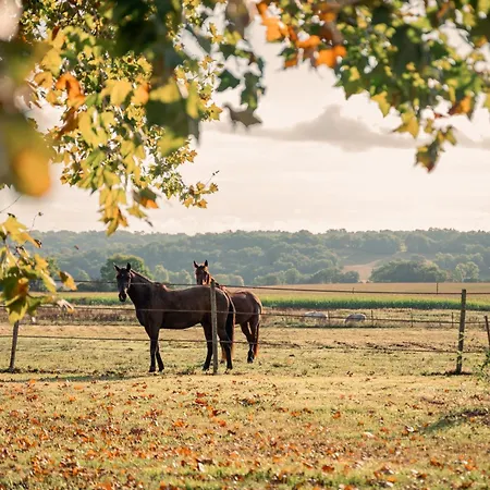 Le Levant De Cremens * Magnan