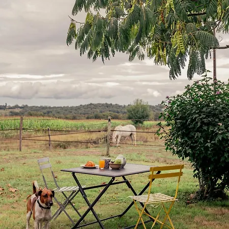 Le Levant De Cremens 別荘 *