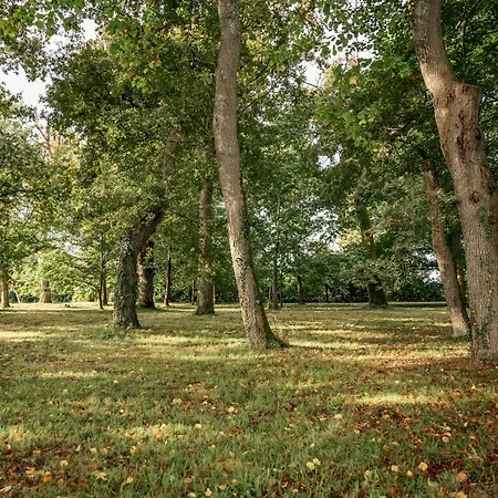 Le Levant De Cremens 別荘 Magnan