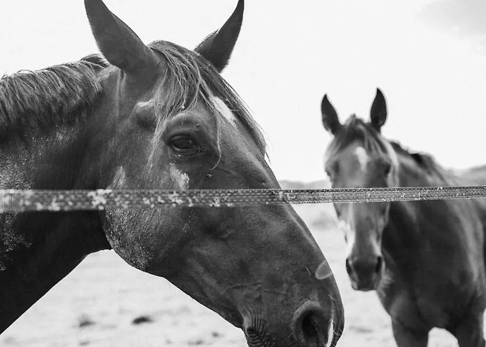 度假居 Le Levant De Cremens Magnan