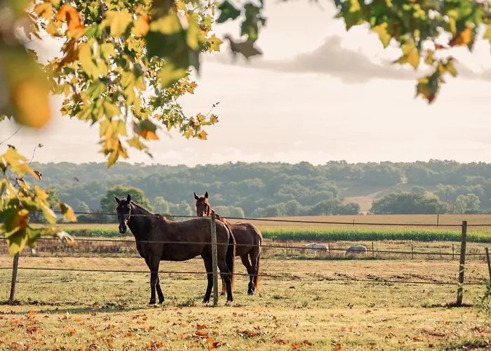 Le Levant De Cremens * Magnan